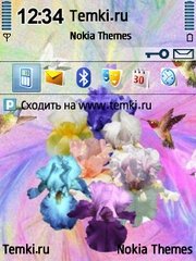 Букет ирисов для Nokia E73 Mode