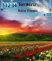 Поле Цветов для Nokia 6638