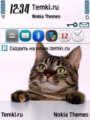 Кошки для Nokia 6124 Classic
