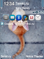 Рыжий для Nokia E73 Mode