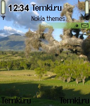 Колумбийский красоты для Nokia N90