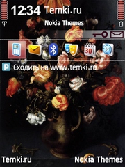 Ваза для Nokia 6121 Classic