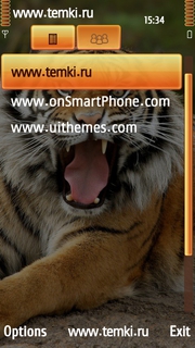 Скриншот №3 для темы Сумасшедший тигр