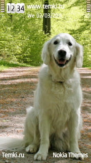 Собака для Sony Ericsson Idou