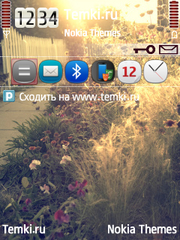 Лето для Nokia N77