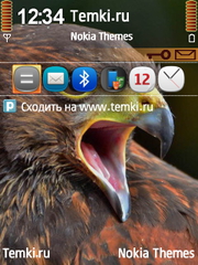 Ястреб для Nokia E70