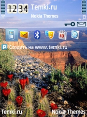 Гранд Каньон для Nokia E71