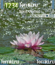 Водяная лилия для Nokia 3230