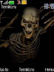 Скелет для Nokia 6275