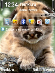 Детёныш для Nokia E73 Mode