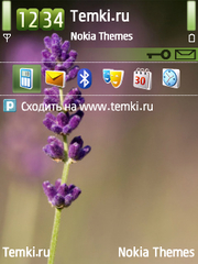 Лаванда для Nokia E73 Mode