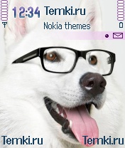 Умный Пес для Nokia 7610