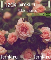 Цветы для Nokia N72