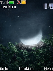 Луна в гнезде для Nokia 6750 Mural