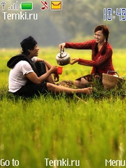 Пуэр в рисовом поле для Nokia 207
