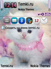 Котеночек для Nokia 6790 Slide