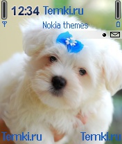 Мальтезе для Nokia N90