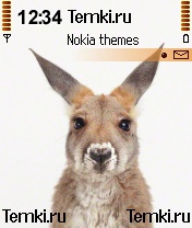 Кролик для Nokia 7610