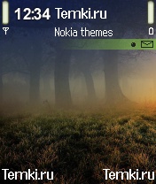 Таинственный лес для Nokia N72