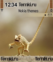 Зверюха для Nokia N90