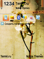 Цветок для Nokia 6700 Slide