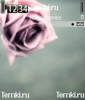 Розовая роза для Nokia 6670
