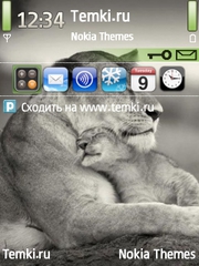 Львенок и его мама для Nokia E73 Mode