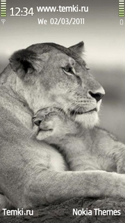 Львенок и его мама для Sony Ericsson Kurara