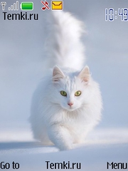 Белая кошка для Nokia 6600 slide
