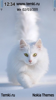 Белая кошка для Nokia T7-00