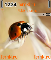 Божья коровка для Nokia N90