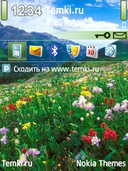 Цветочная долина для Nokia E52