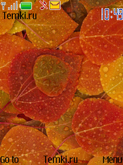 Разноцветные листья для Nokia 3610 fold