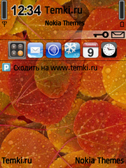 Разноцветные листья для Nokia 6760 Slide