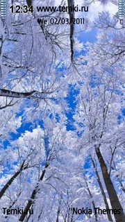Зимний лес для Nokia C6-00
