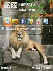 Царь зверей для Nokia X5 TD-SCDMA