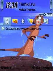 Тимон для Nokia N77