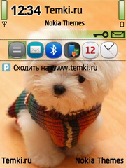 Собака для Nokia 6720 classic