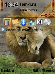 Любящие львы для Nokia E70